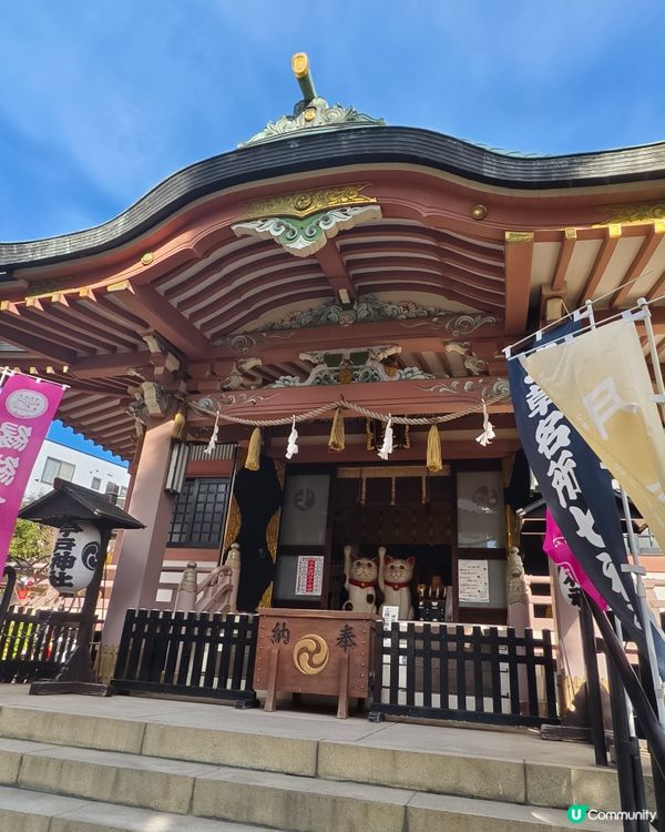 今戶神社，貓奴必到