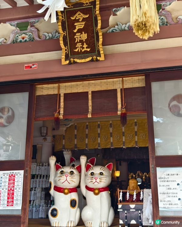 今戶神社，貓奴必到