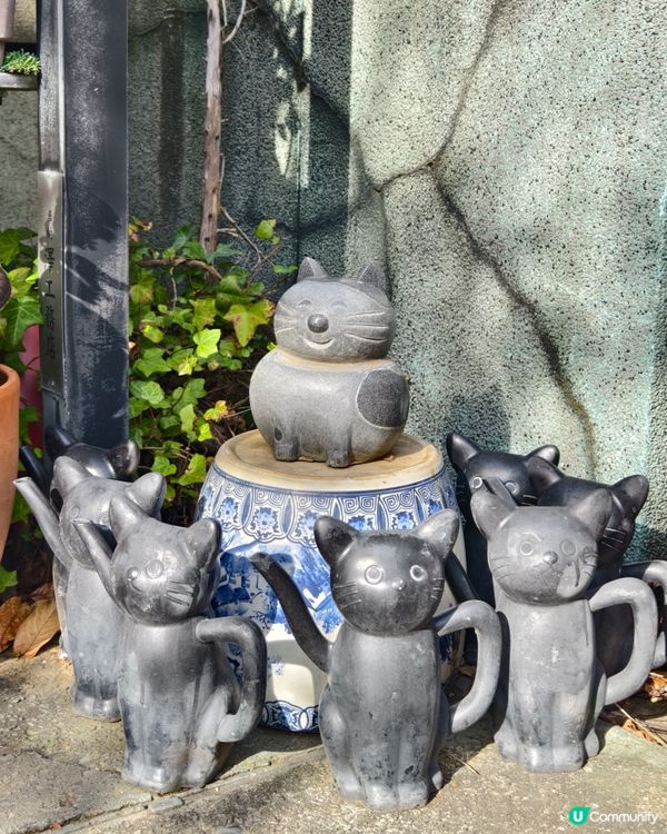 今戶神社，貓奴必到