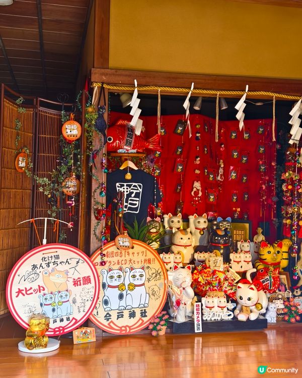 今戶神社，貓奴必到
