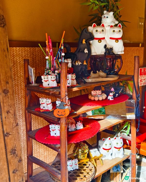 今戶神社，貓奴必到