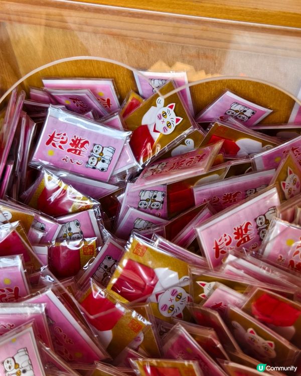 今戶神社，貓奴必到