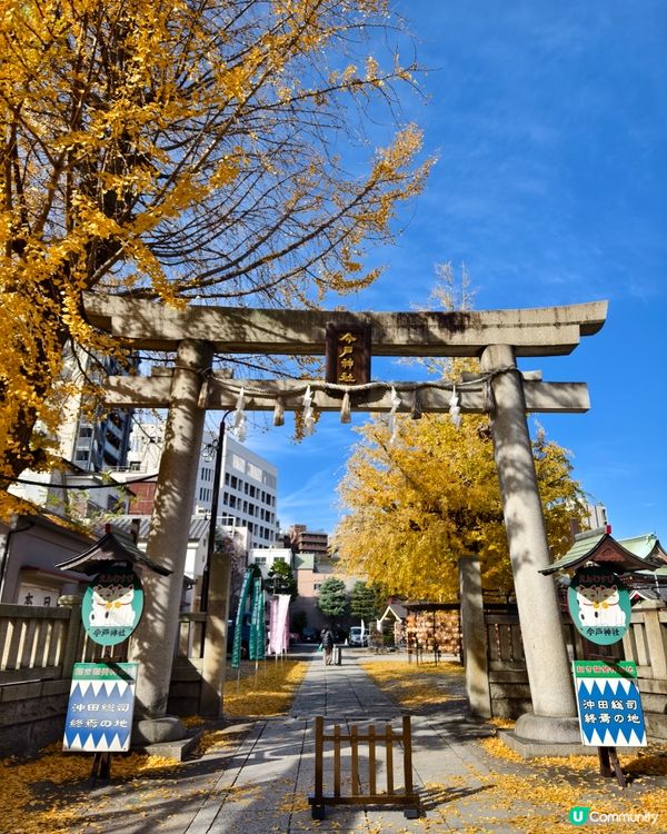 今戶神社，貓奴必到