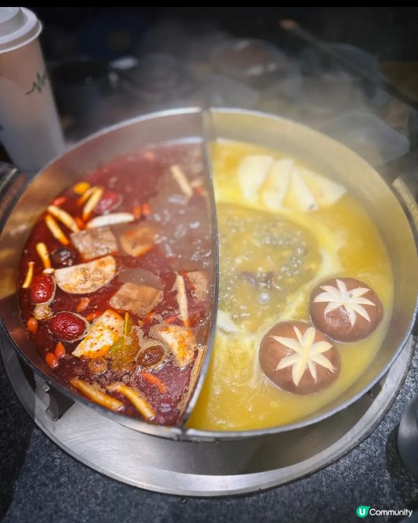 🍲 花膠雞鍋 vs 台式麻辣鍋 🤤