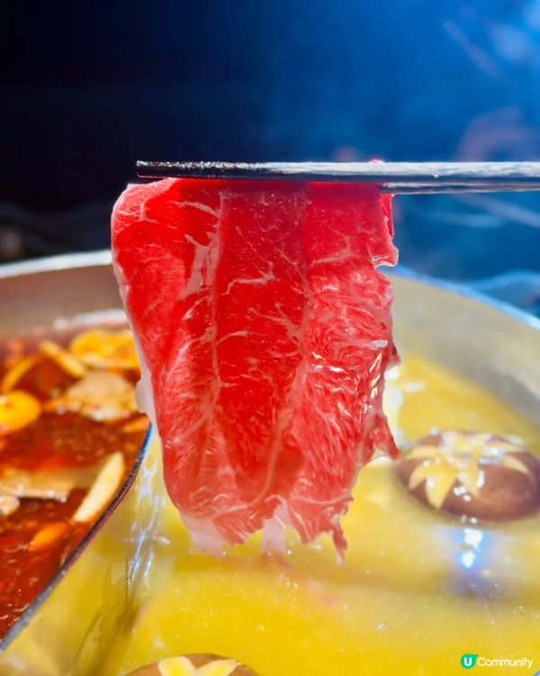 🍲 花膠雞鍋 vs 台式麻辣鍋 🤤