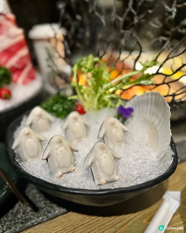 🍲 花膠雞鍋 vs 台式麻辣鍋 🤤