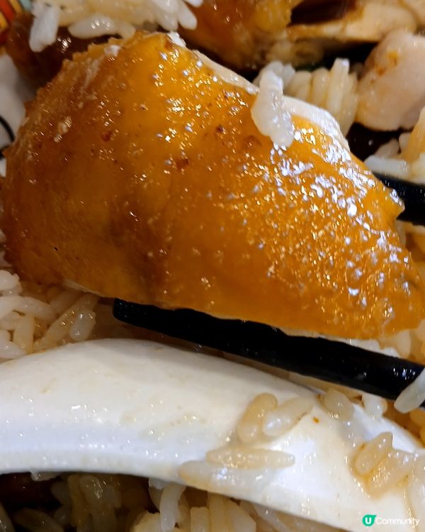 大埔下午茶😋 燒腩仔油雞飯🤤