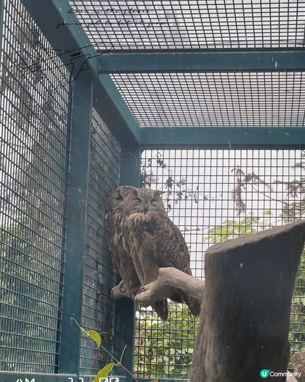 清遠長隆森林王國 三日兩夜～