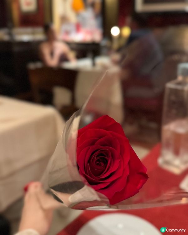 【浪漫威尼斯之夜】Bistrot de Venise驚喜饗宴