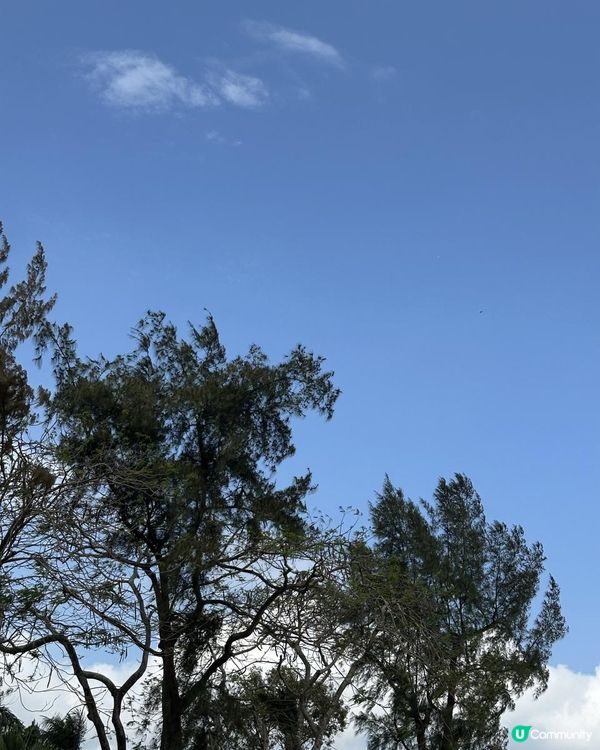 Sai Kung Hotel Restaurant