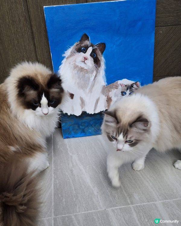 Me Time最佳方案🖌