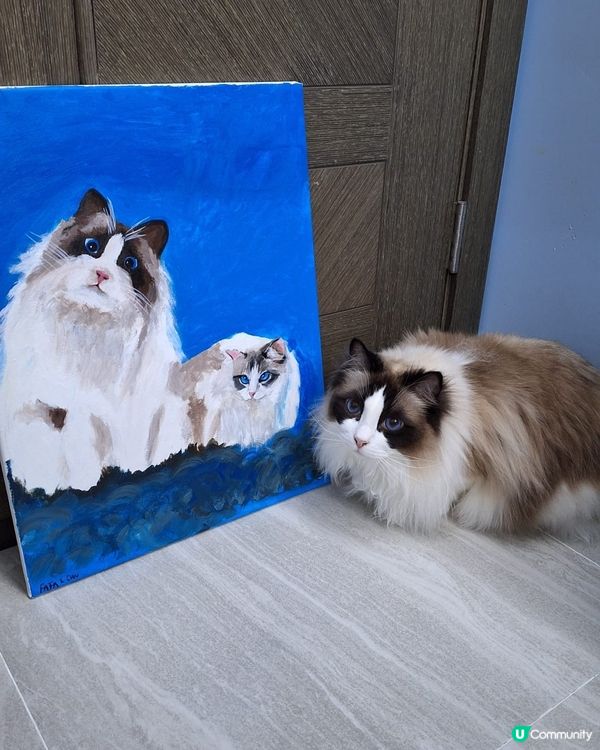 Me Time最佳方案🖌