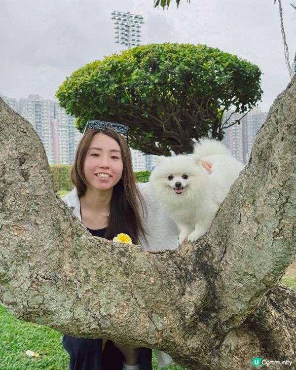 放狗好去處🐶