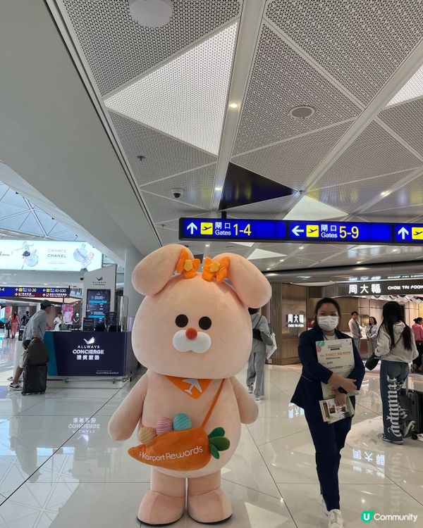 #好去處 #chill#打卡#出發打卡#日玩夜玩