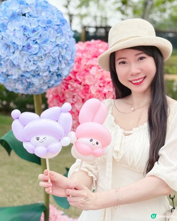 被美美的繡球花呼喚著💗