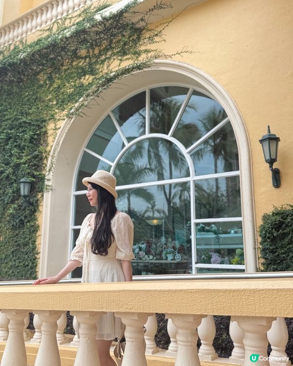 被美美的繡球花呼喚著💗