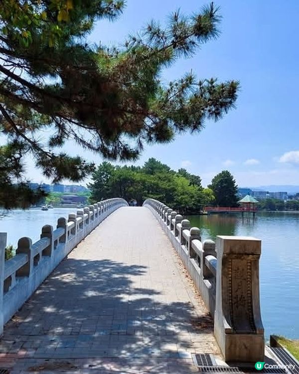 福岡親子遊必去！大濠公園放電好去處 👨‍👩‍👧‍👦