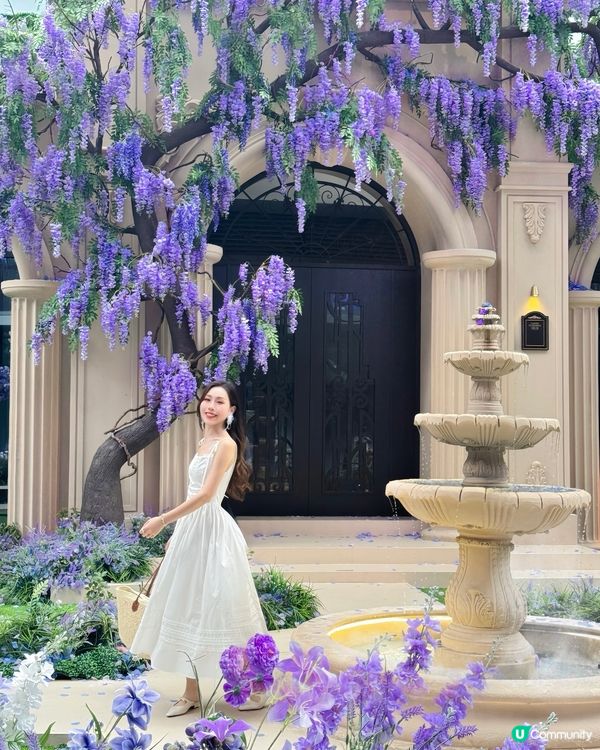 深圳免費紫色莫奈花園打卡，美哭