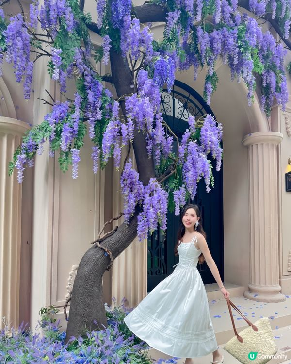 深圳免費紫色莫奈花園打卡，美哭