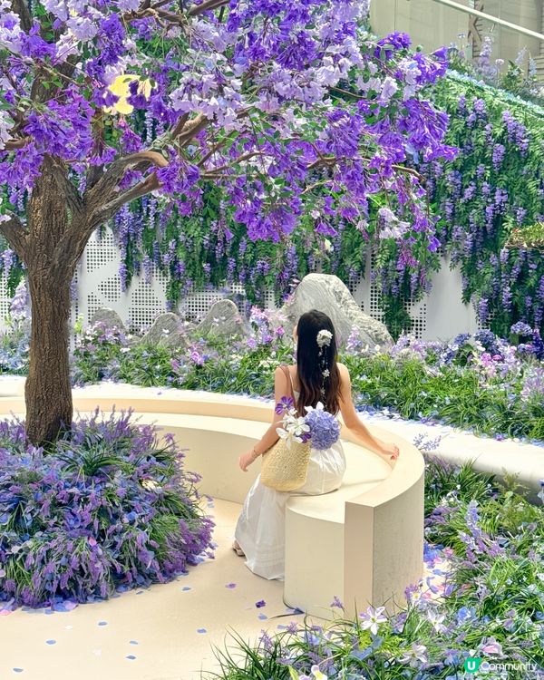 深圳免費紫色莫奈花園打卡，美哭