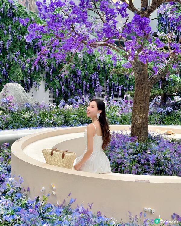 深圳免費紫色莫奈花園打卡，美哭