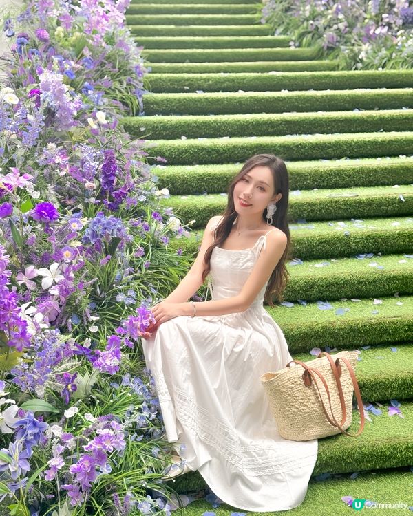 深圳免費紫色莫奈花園打卡，美哭