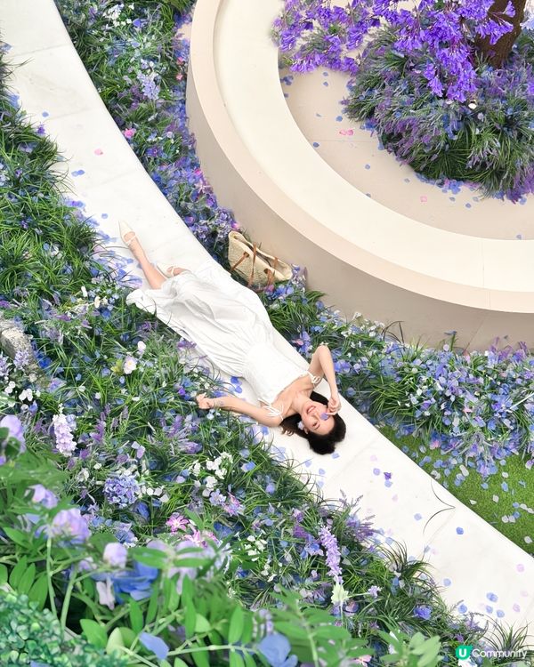 深圳免費紫色莫奈花園打卡，美哭