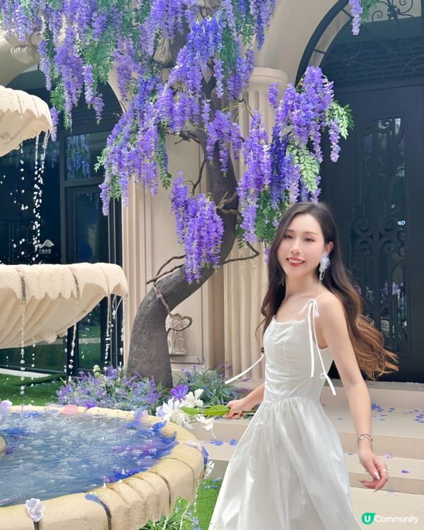 深圳免費紫色莫奈花園打卡，美哭