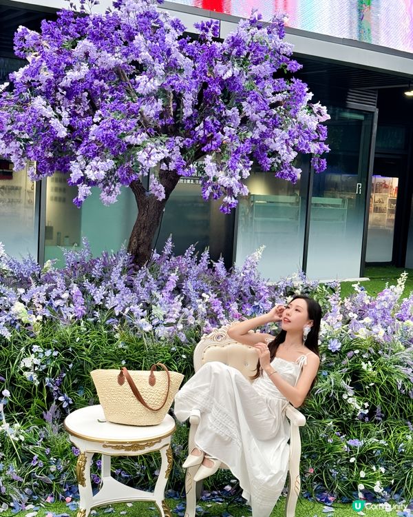 深圳免費紫色莫奈花園打卡，美哭