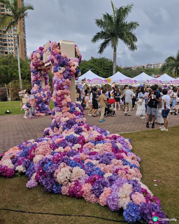 屯門黃金海岸繡球花節2025