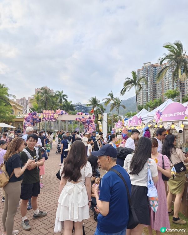 屯門黃金海岸繡球花節2025