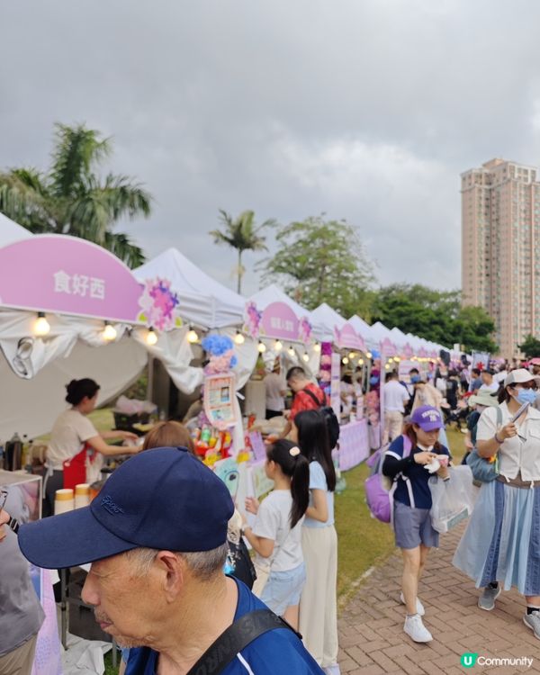 屯門黃金海岸繡球花節2025