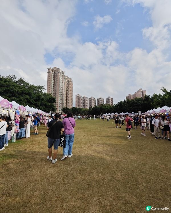 屯門黃金海岸繡球花節2025