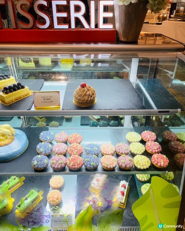 屯門黃金海岸繡球花節2025