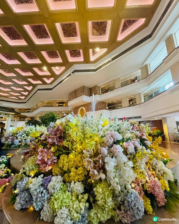 屯門黃金海岸繡球花節2025