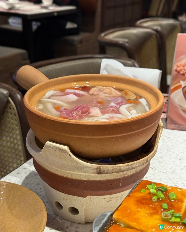 ｢估吾到又幾好食🤣椰子竹笙雞鍋👍🏻｣