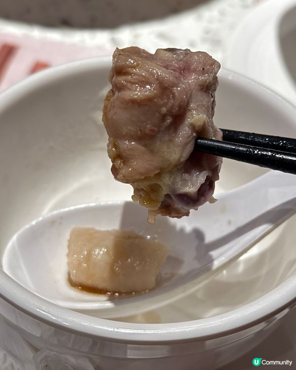 ｢估吾到又幾好食🤣椰子竹笙雞鍋👍🏻｣