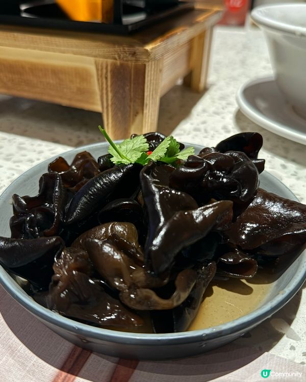 ｢估吾到又幾好食🤣椰子竹笙雞鍋👍🏻｣