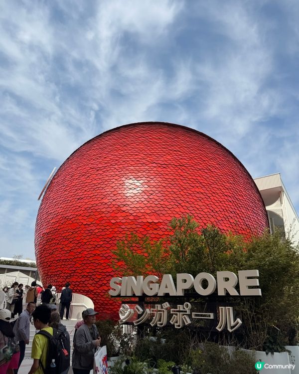 震撼眼球😎 #帶小孩遊世博小分享