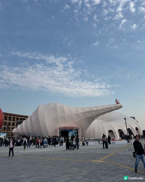 震撼眼球😎 #帶小孩遊世博小分享