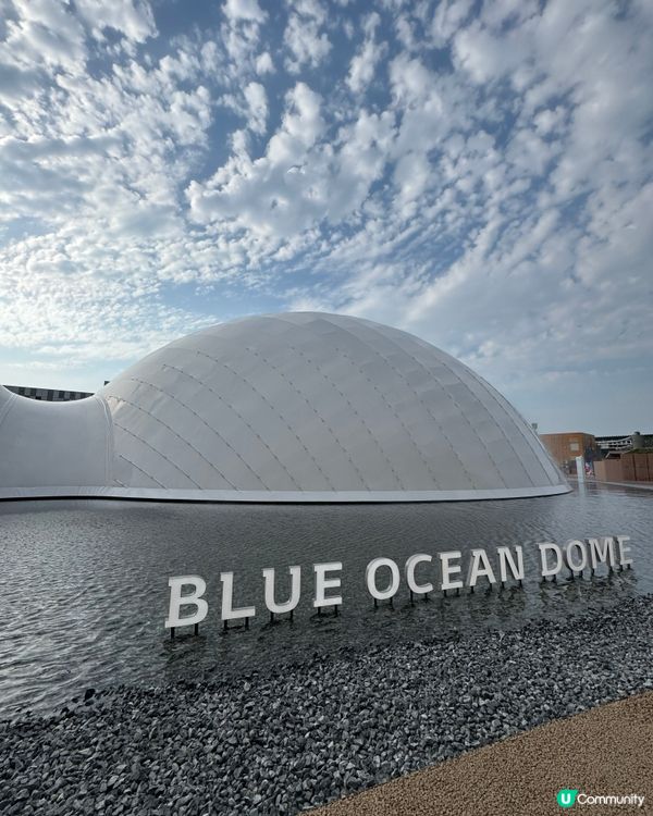 震撼眼球😎 #帶小孩遊世博小分享