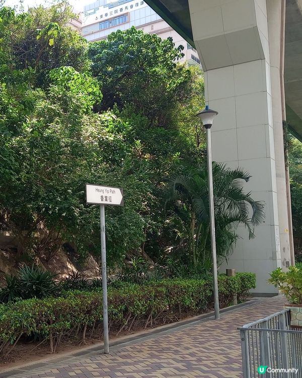 黃竹坑香葉徑散步🚶‍♀️🌿