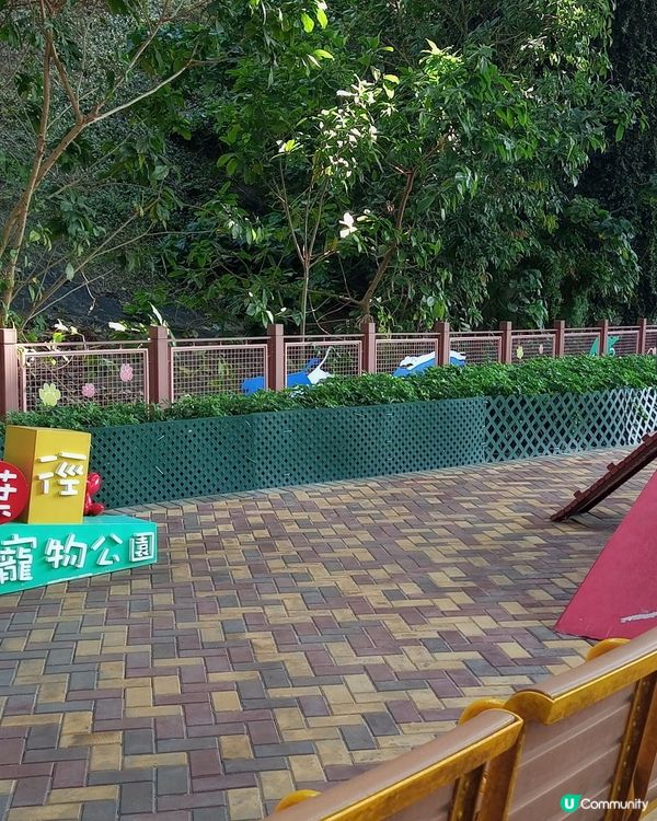 黃竹坑香葉徑散步🚶‍♀️🌿