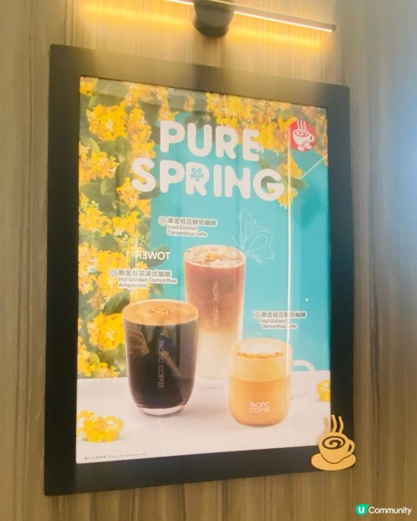 ☕春日限定，金桂花香氣☕