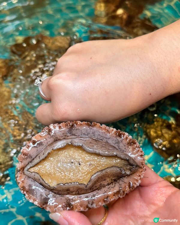 深圳食蠔天堂🦪 人均200任食！