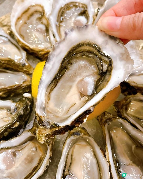 旺角韓川生蠔特價$10！🦪🤤