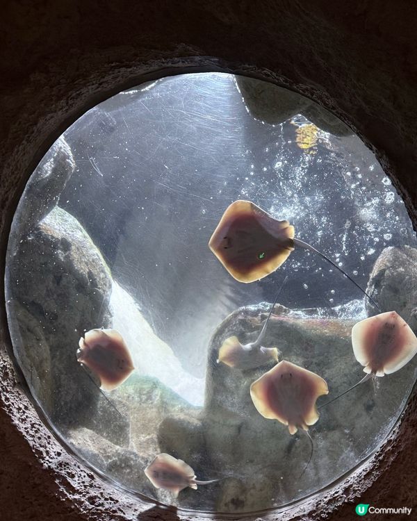 珠海長隆海洋王國攻略