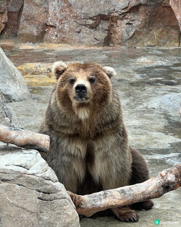 珠海長隆海洋王國攻略