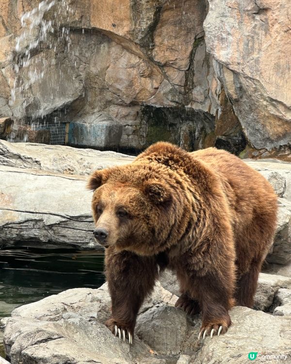 珠海長隆海洋王國攻略