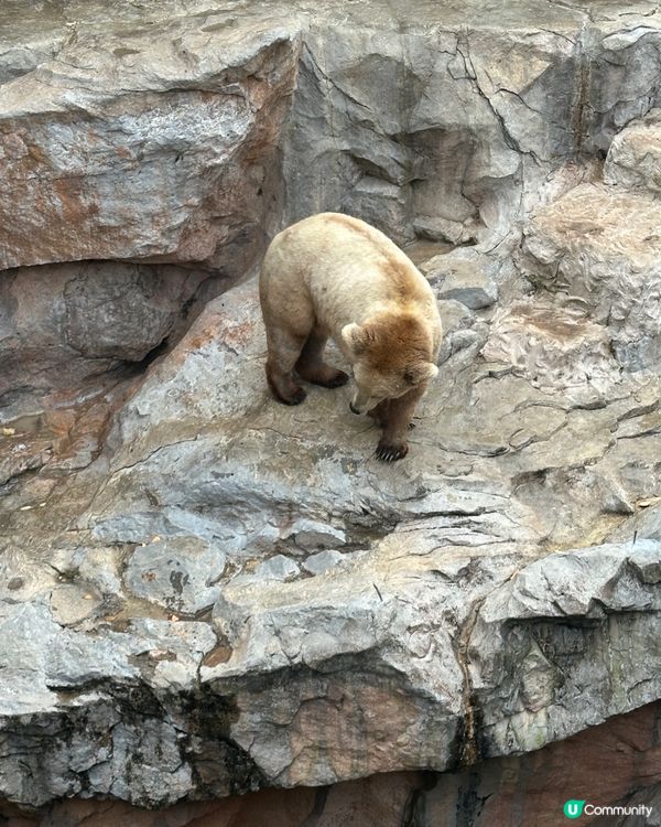 珠海長隆海洋王國攻略